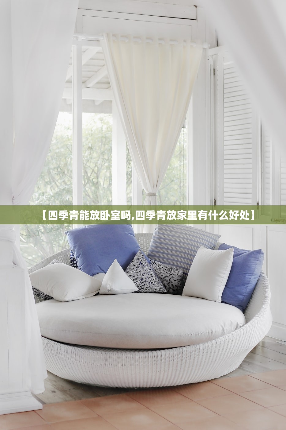 【四季青能放卧室吗,四季青放家里有什么好处】