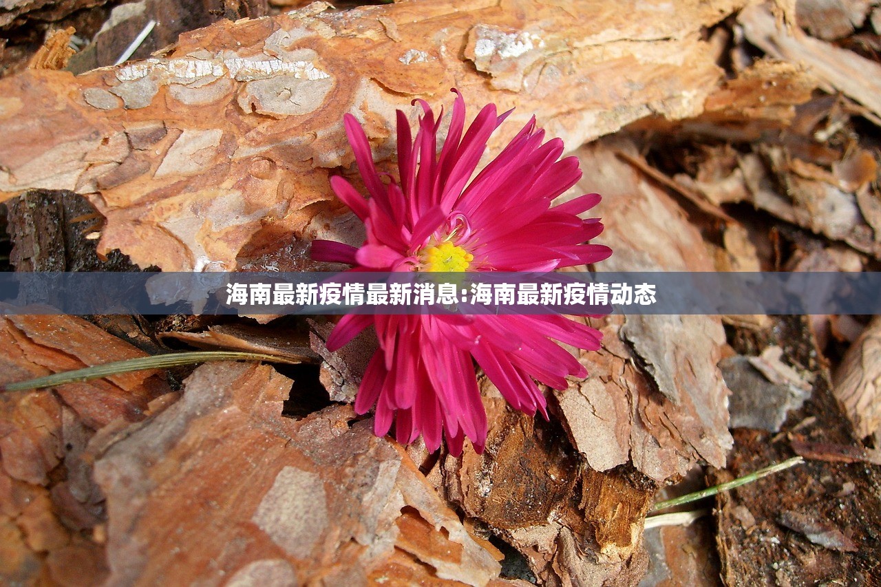 海南最新疫情最新消息:海南最新疫情动态