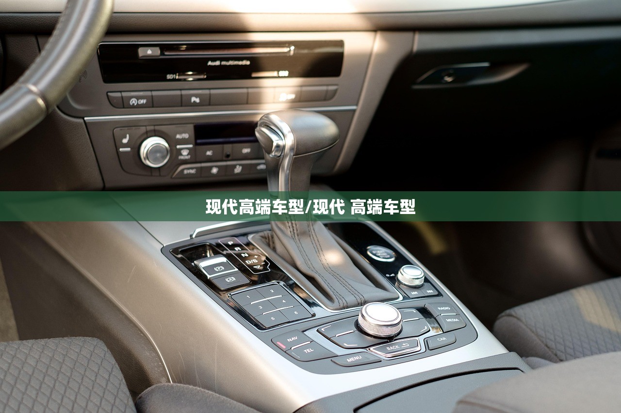 现代高端车型/现代 高端车型