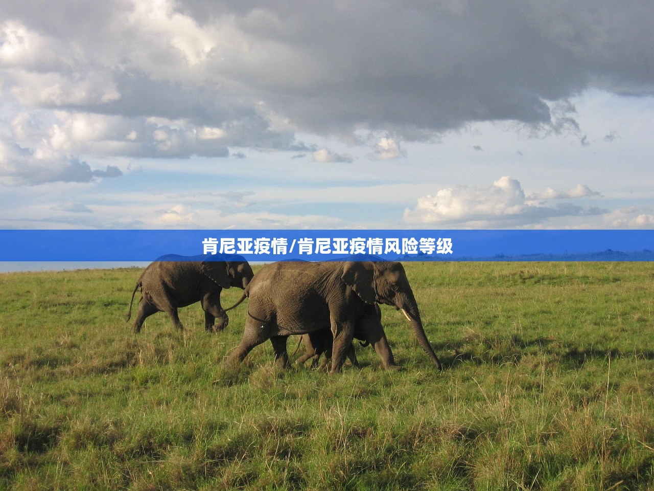 肯尼亚疫情/肯尼亚疫情风险等级