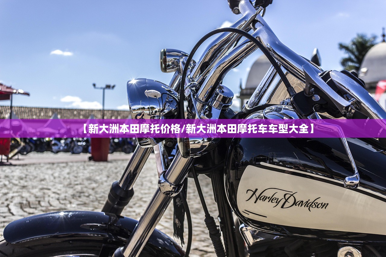 【新大洲本田摩托价格/新大洲本田摩托车车型大全】