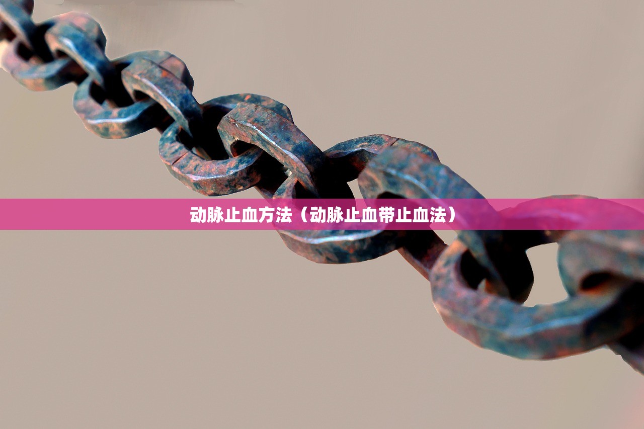 动脉止血方法（动脉止血带止血法）