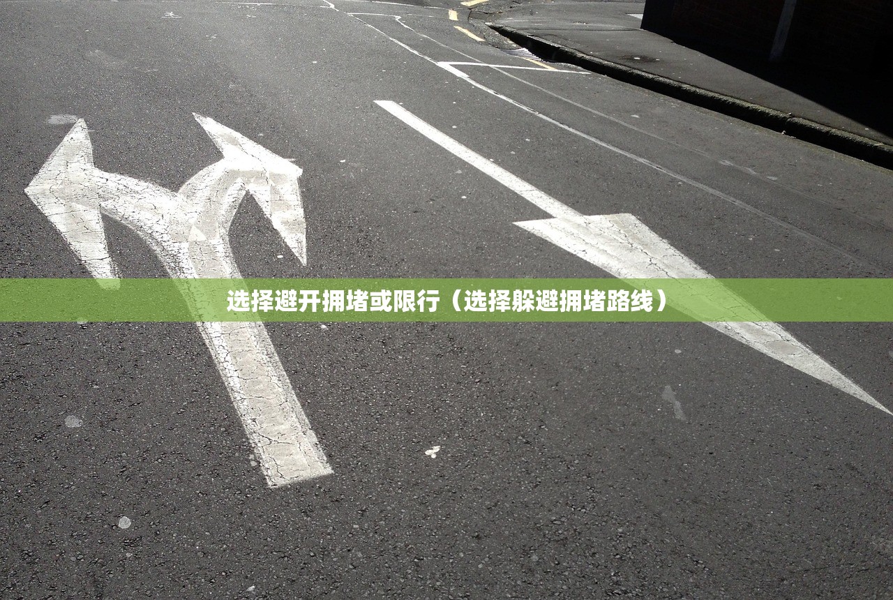 选择避开拥堵或限行（选择躲避拥堵路线）