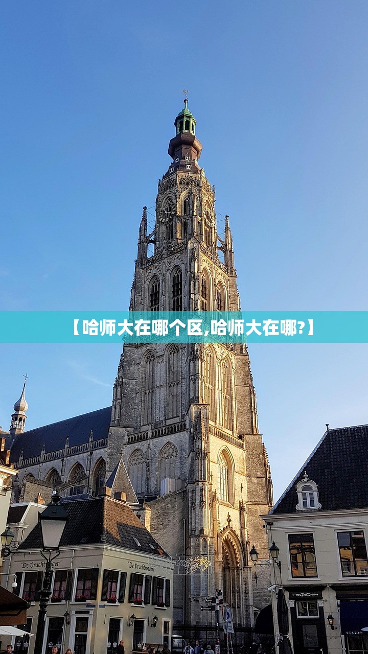 【哈师大在哪个区,哈师大在哪?】