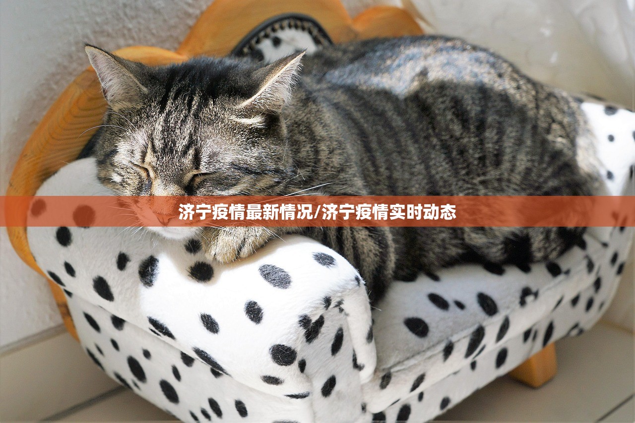济宁疫情最新情况/济宁疫情实时动态