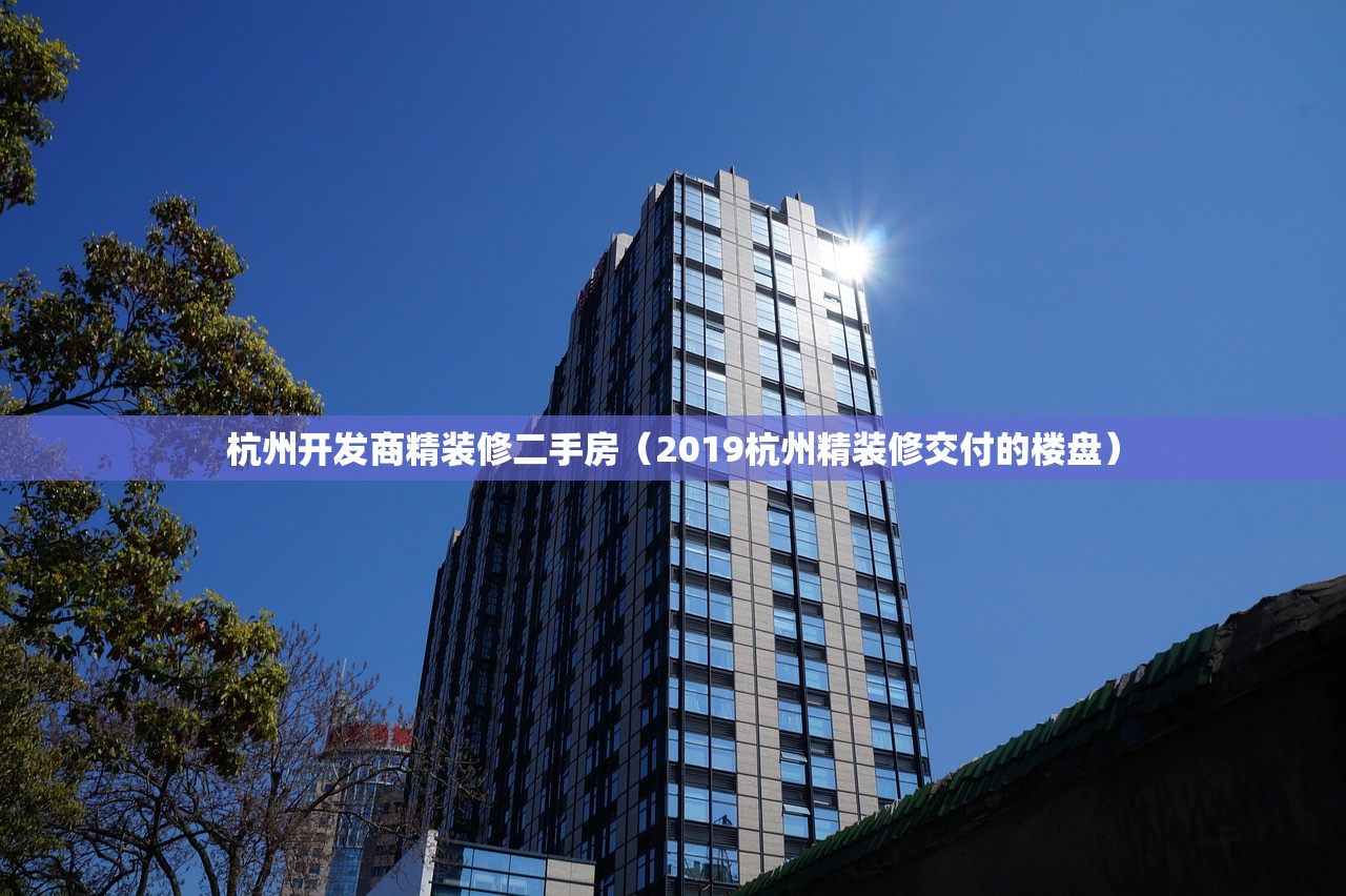 杭州开发商精装修二手房（2019杭州精装修交付的楼盘）