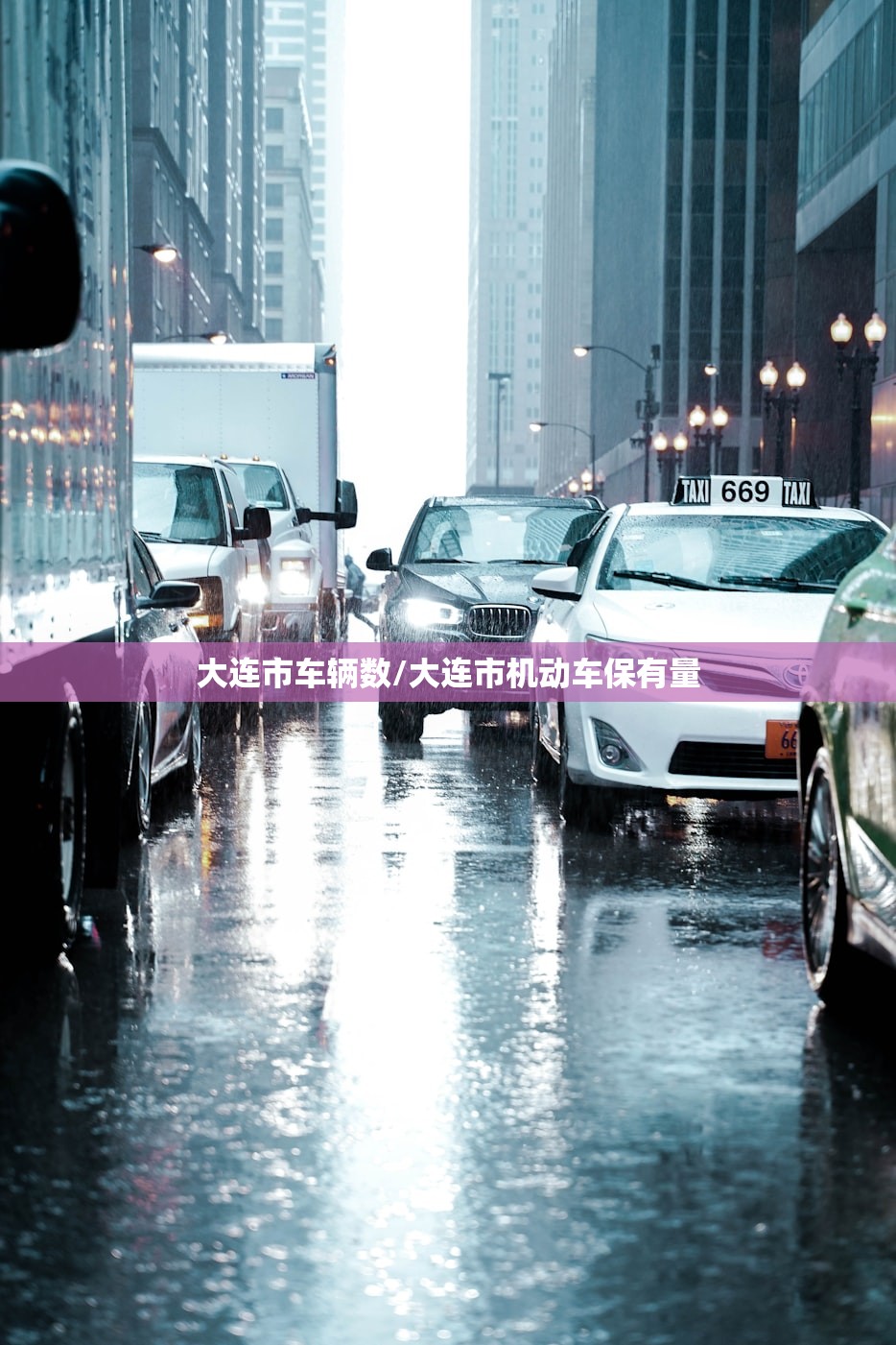 大连市车辆数/大连市机动车保有量