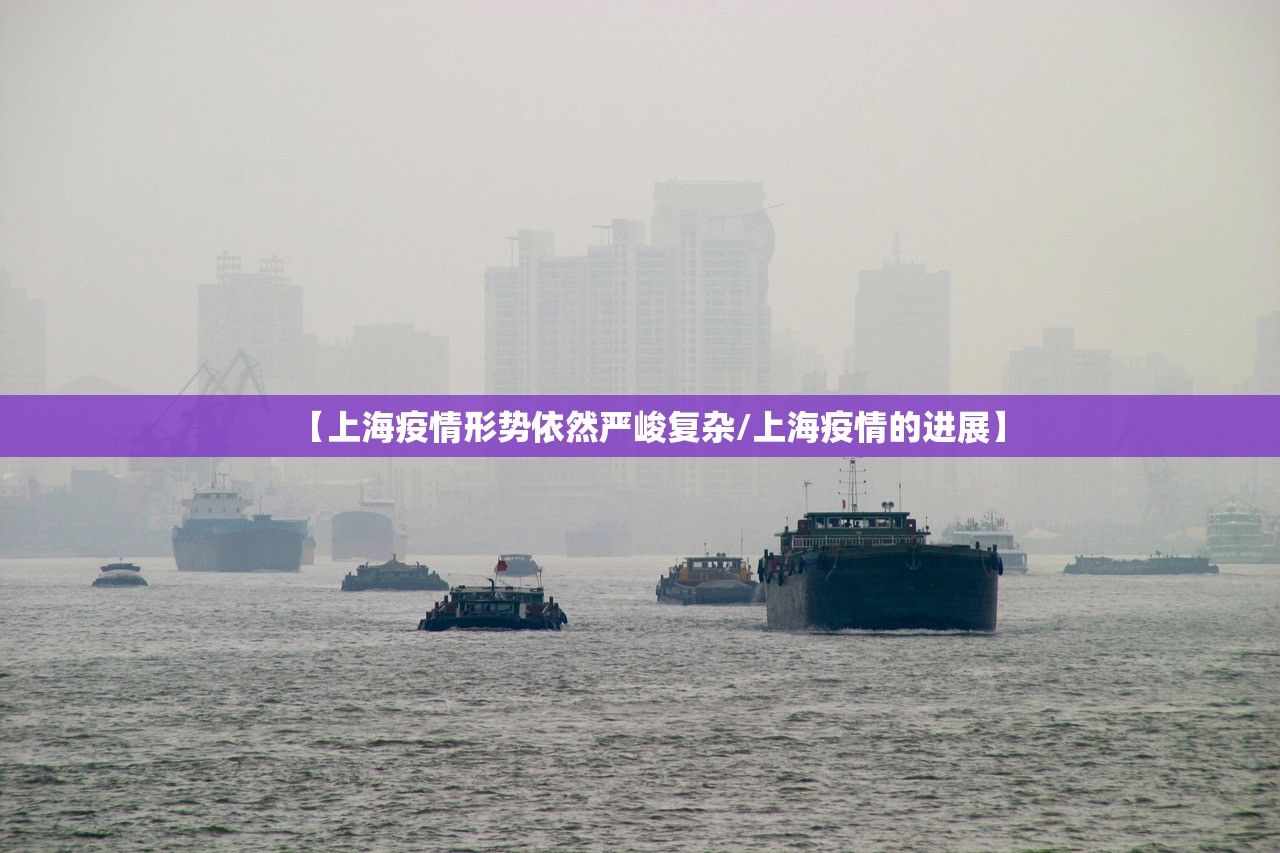【上海疫情形势依然严峻复杂/上海疫情的进展】