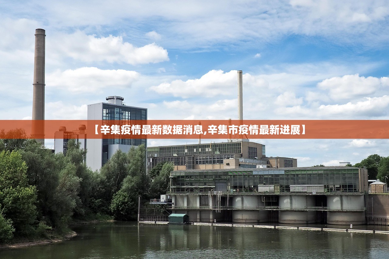 【辛集疫情最新数据消息,辛集市疫情最新进展】