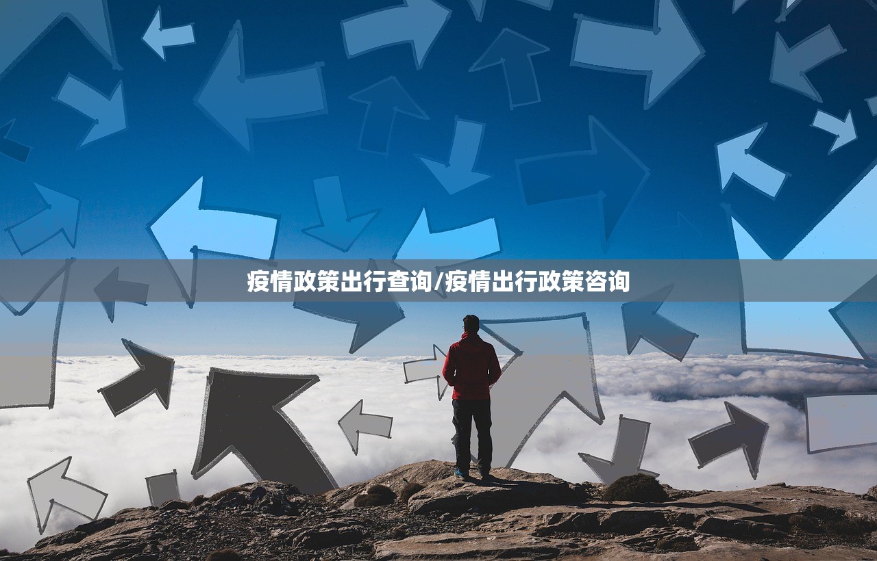 疫情政策出行查询/疫情出行政策咨询