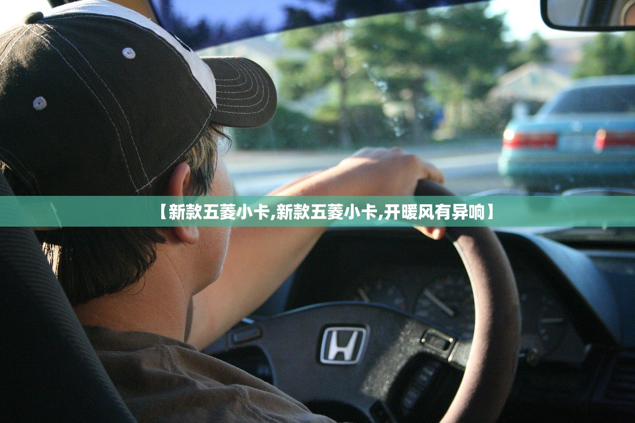 【新款五菱小卡,新款五菱小卡,开暖风有异响】