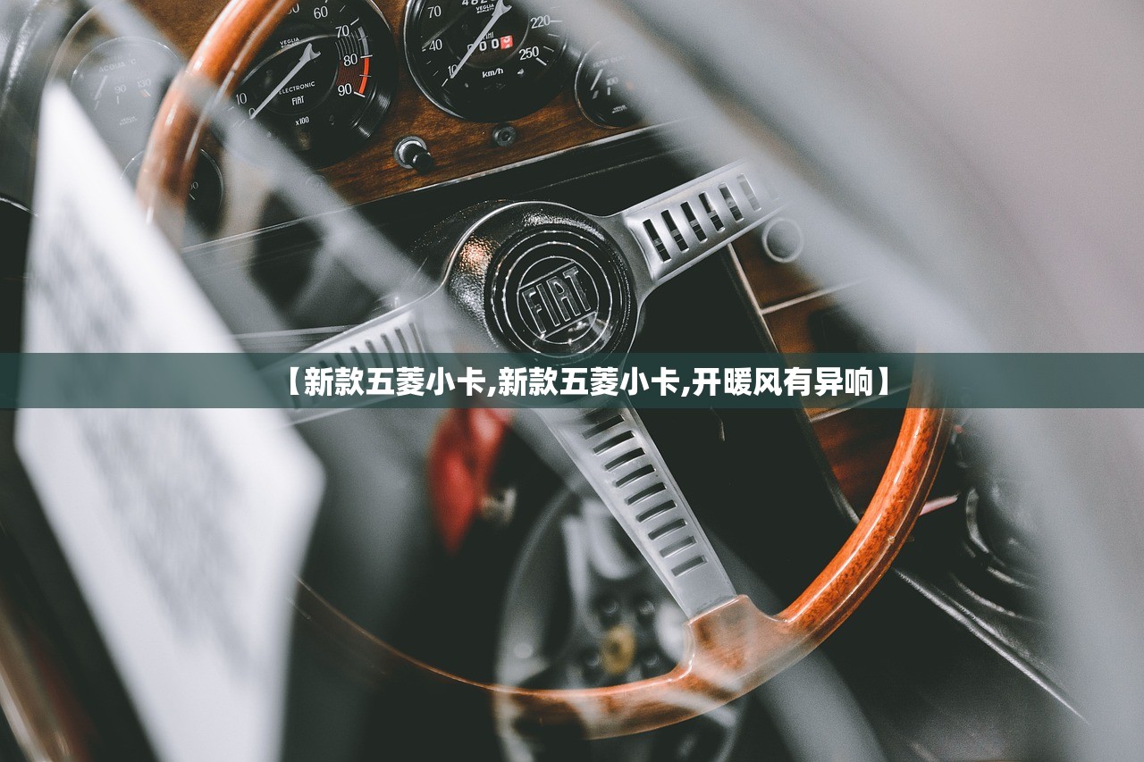 【新款五菱小卡,新款五菱小卡,开暖风有异响】