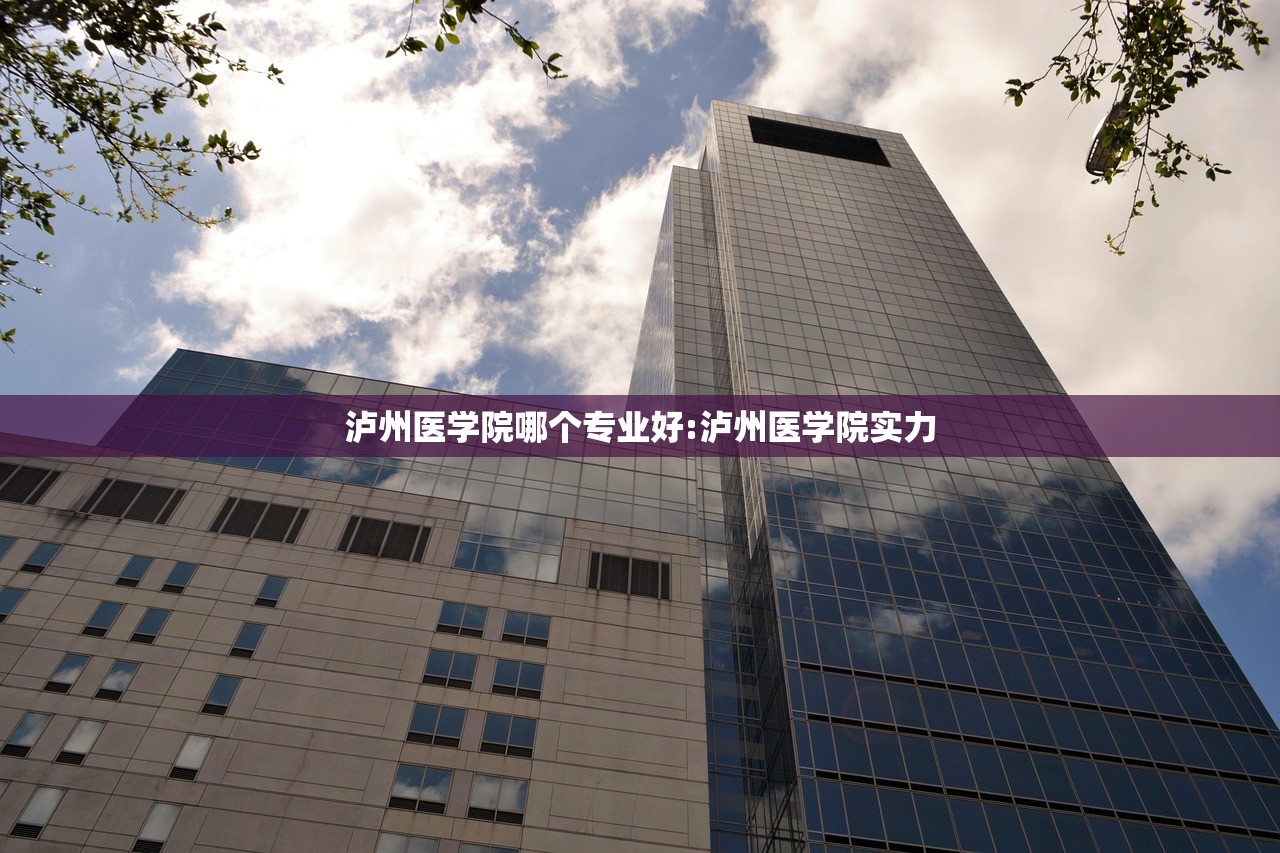 泸州医学院哪个专业好:泸州医学院实力