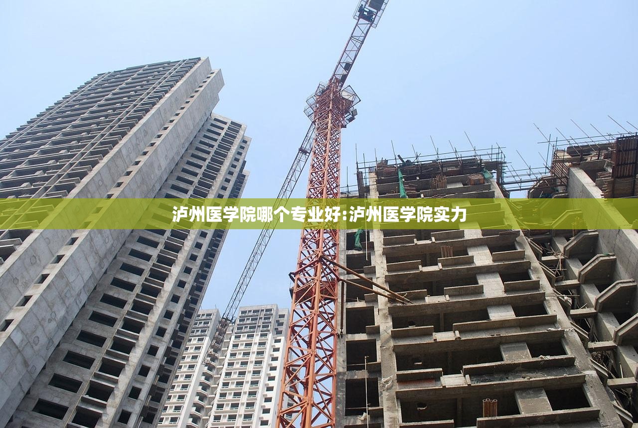 泸州医学院哪个专业好:泸州医学院实力