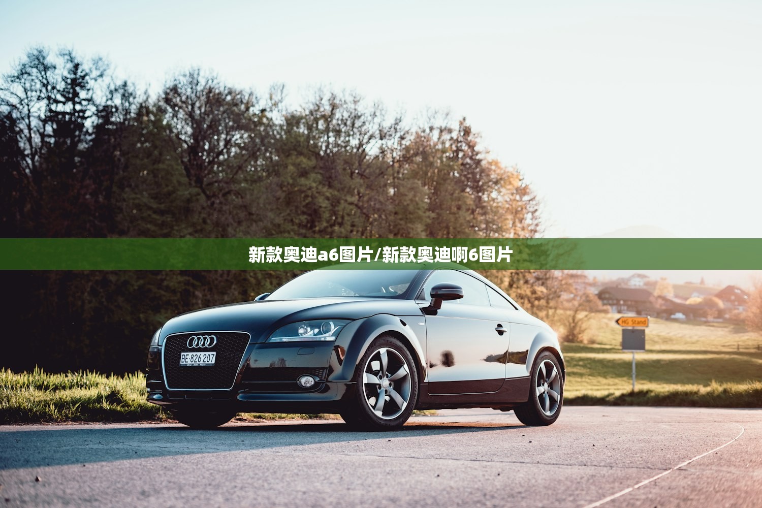 新款奥迪a6图片/新款奥迪啊6图片