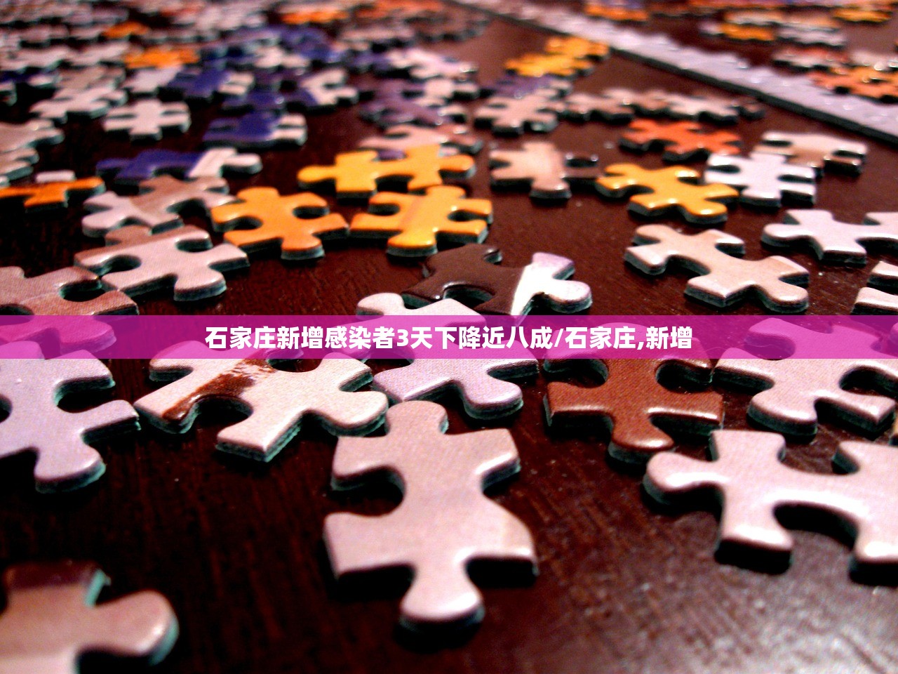 石家庄新增感染者3天下降近八成/石家庄,新增
