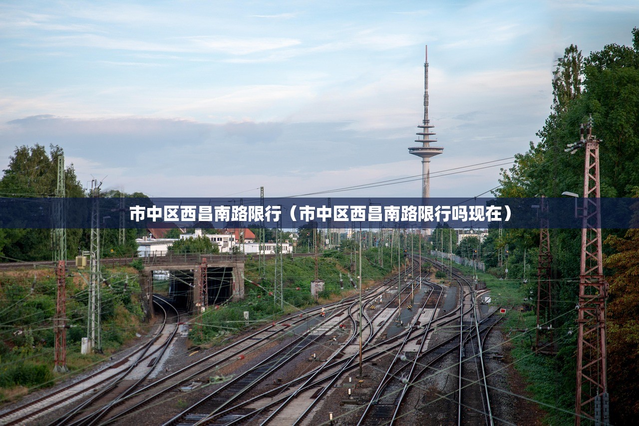 市中区西昌南路限行（市中区西昌南路限行吗现在）