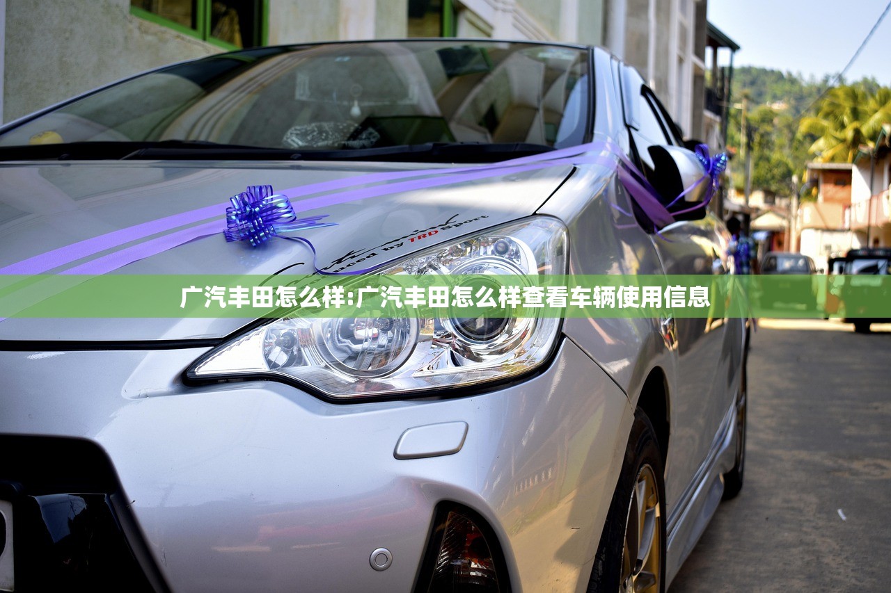广汽丰田怎么样:广汽丰田怎么样查看车辆使用信息