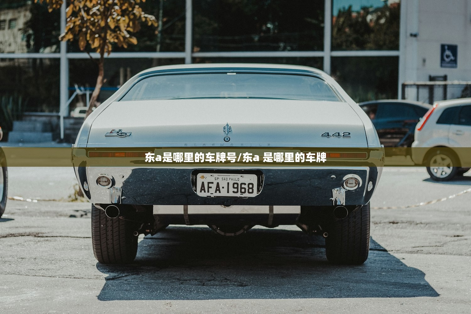 东a是哪里的车牌号/东a 是哪里的车牌