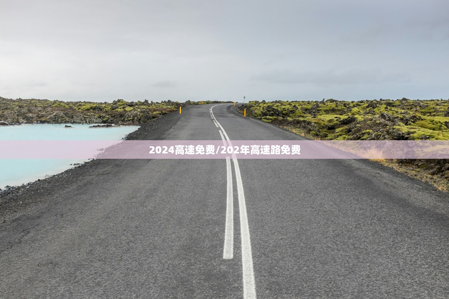 【查询感染记录输入查询地址,查询感染性疾病的诊断和治疗证据】
