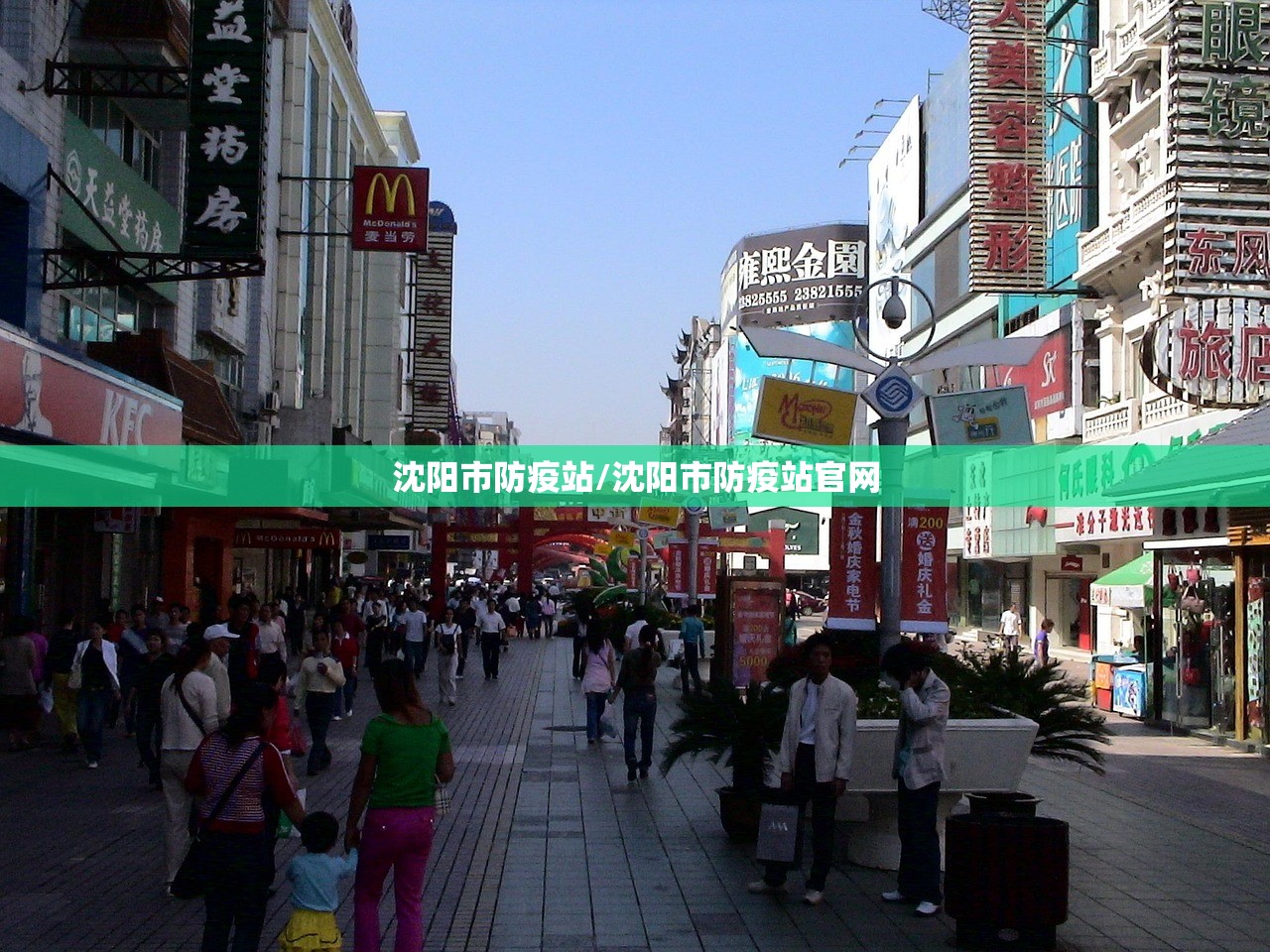 沈阳市防疫站/沈阳市防疫站官网