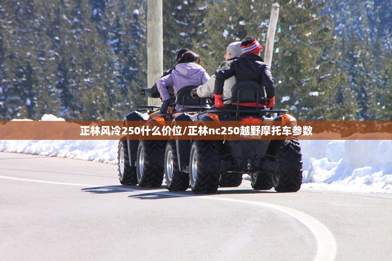 正林风冷250什么价位/正林nc250越野摩托车参数