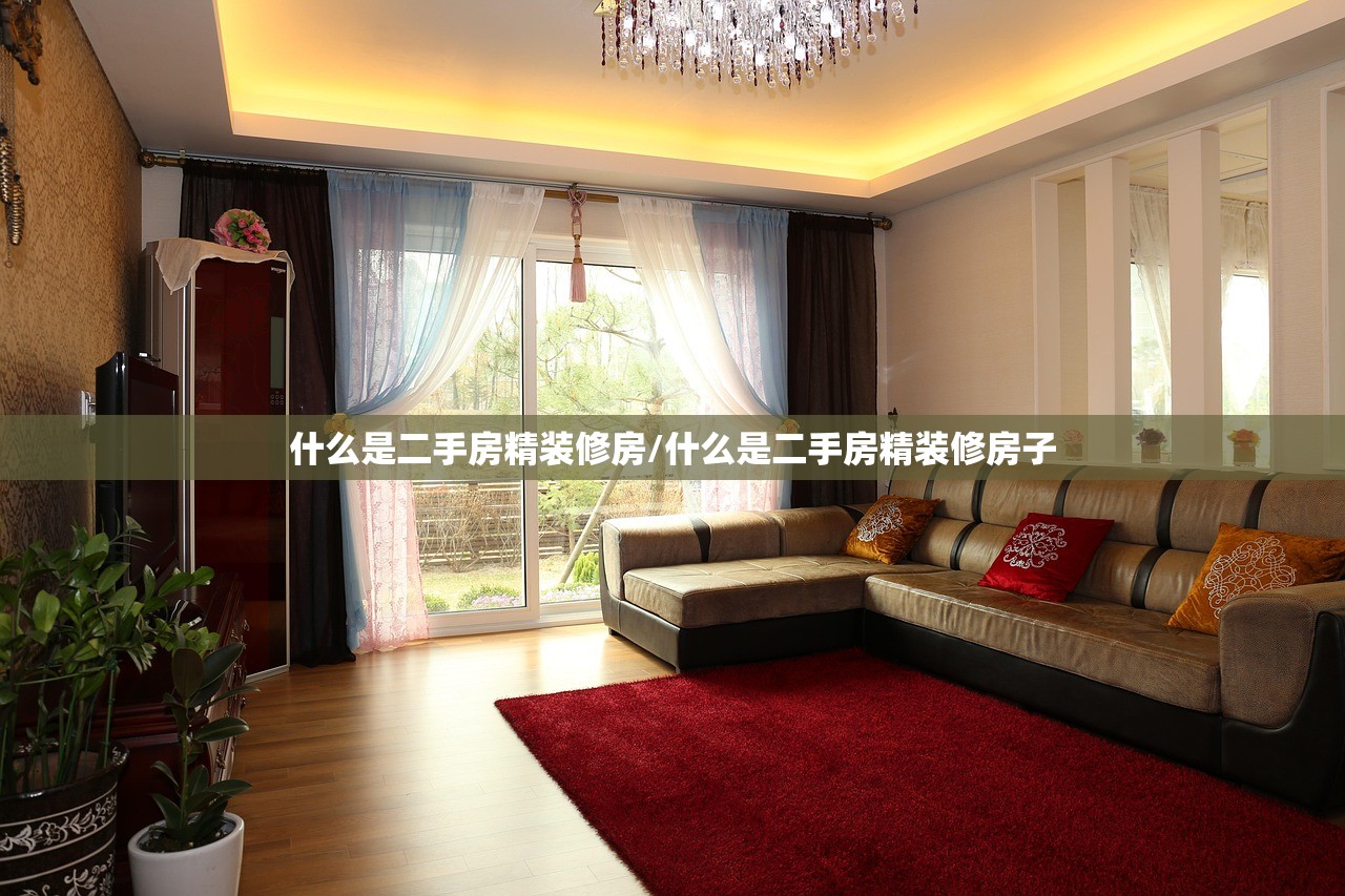 什么是二手房精装修房/什么是二手房精装修房子