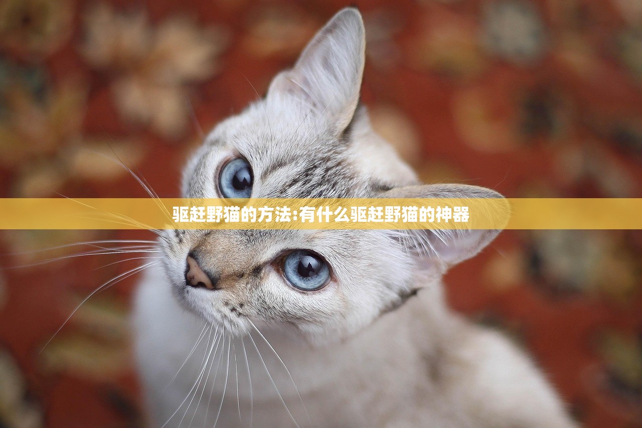 【进出京最新规定,进出京最新规定政策80周年】