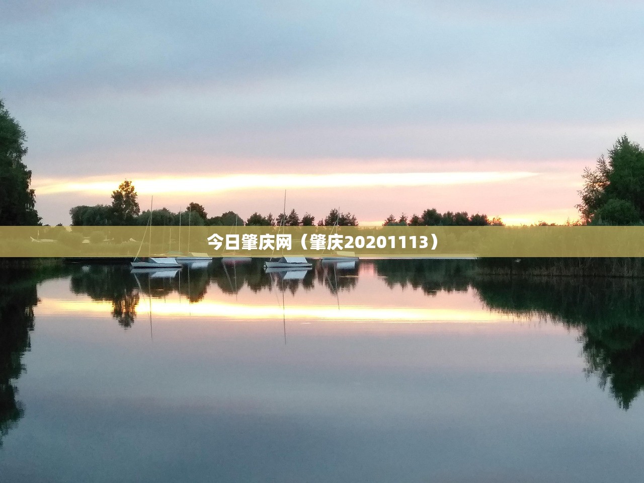 今日肇庆网（肇庆20201113）