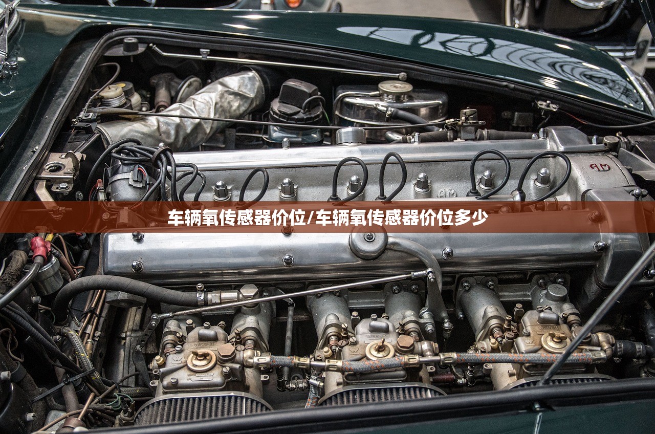 车辆氧传感器价位/车辆氧传感器价位多少