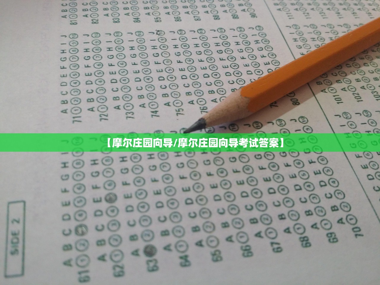 【摩尔庄园向导/摩尔庄园向导考试答案】