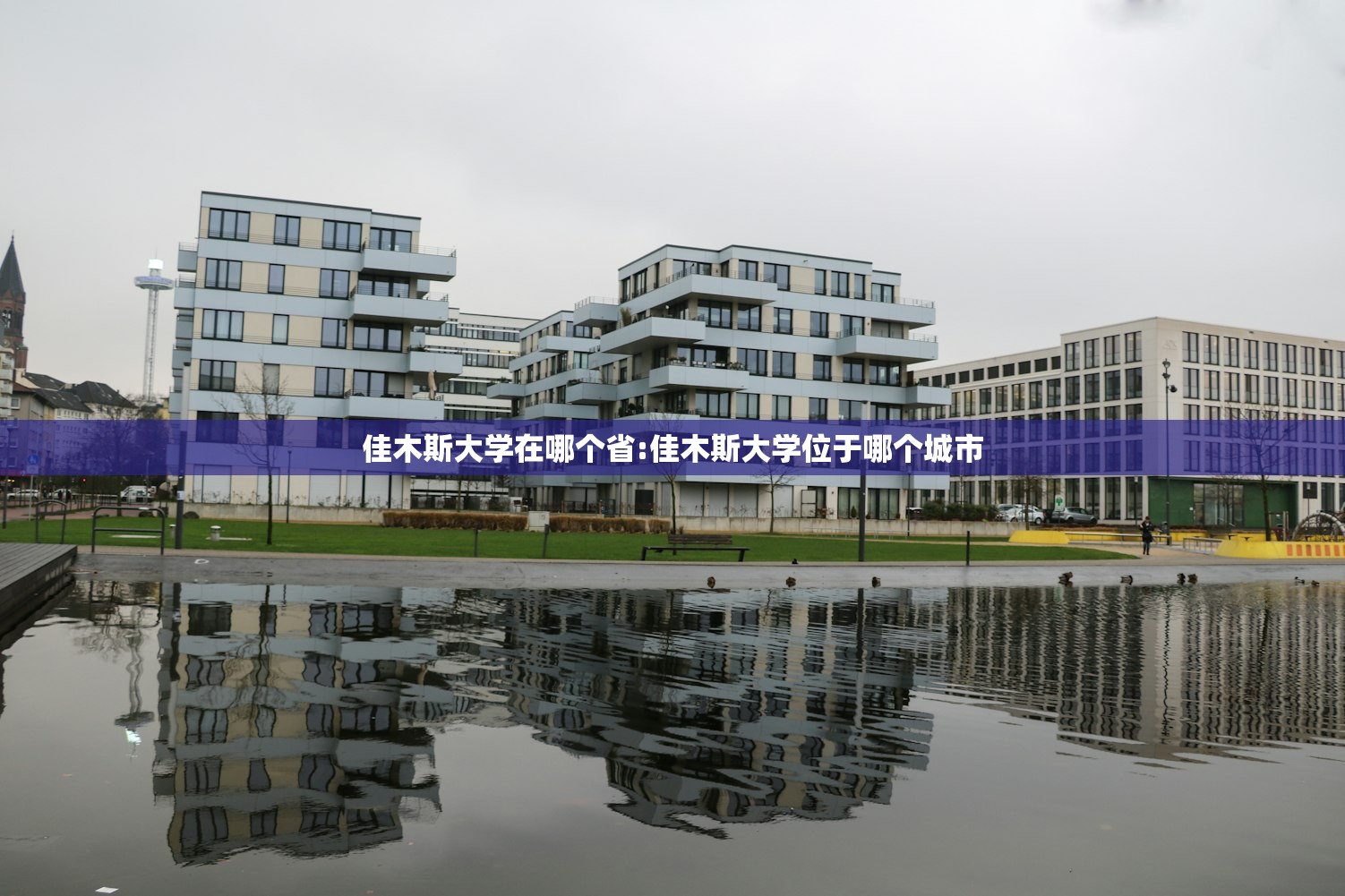 佳木斯大学在哪个省:佳木斯大学位于哪个城市