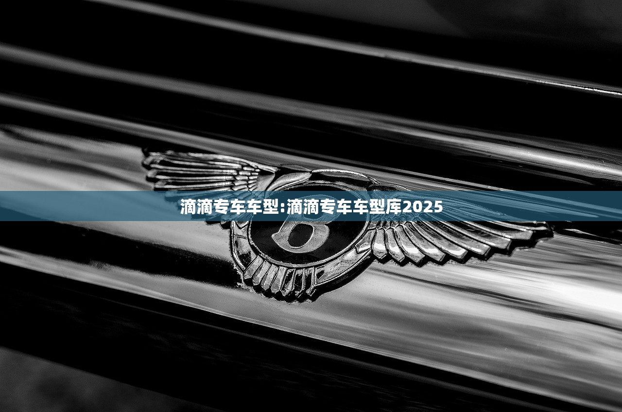 滴滴专车车型:滴滴专车车型库2025