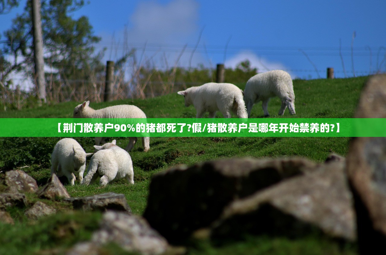 【荆门散养户90%的猪都死了?假/猪散养户是哪年开始禁养的?】