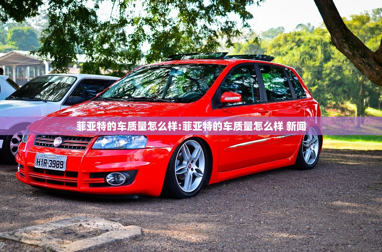 菲亚特的车质量怎么样:菲亚特的车质量怎么样 新闻