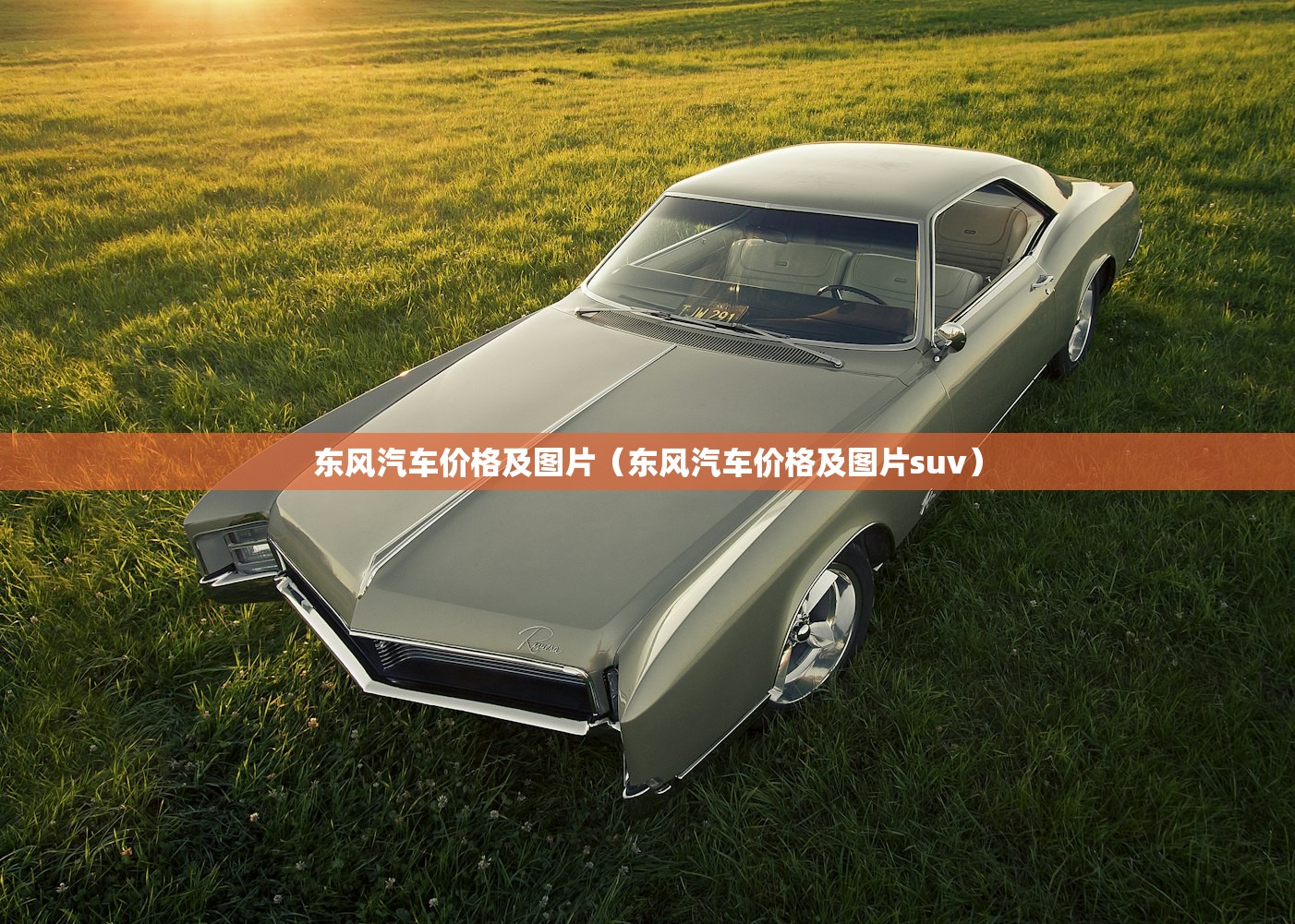 东风汽车价格及图片（东风汽车价格及图片suv）