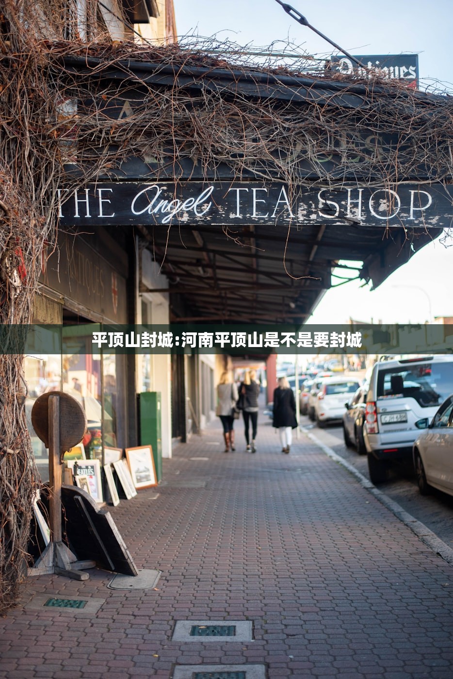 平顶山封城:河南平顶山是不是要封城