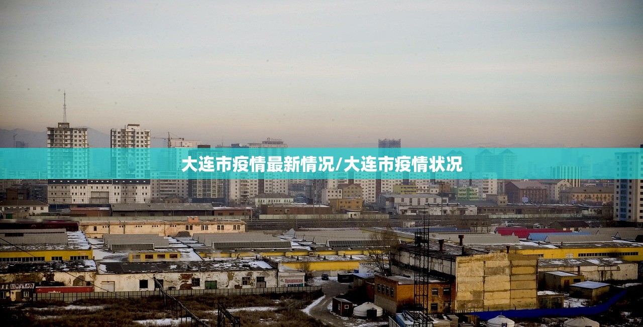 大连市疫情最新情况/大连市疫情状况