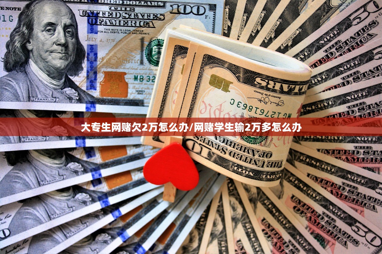 大专生网赌欠2万怎么办/网赌学生输2万多怎么办