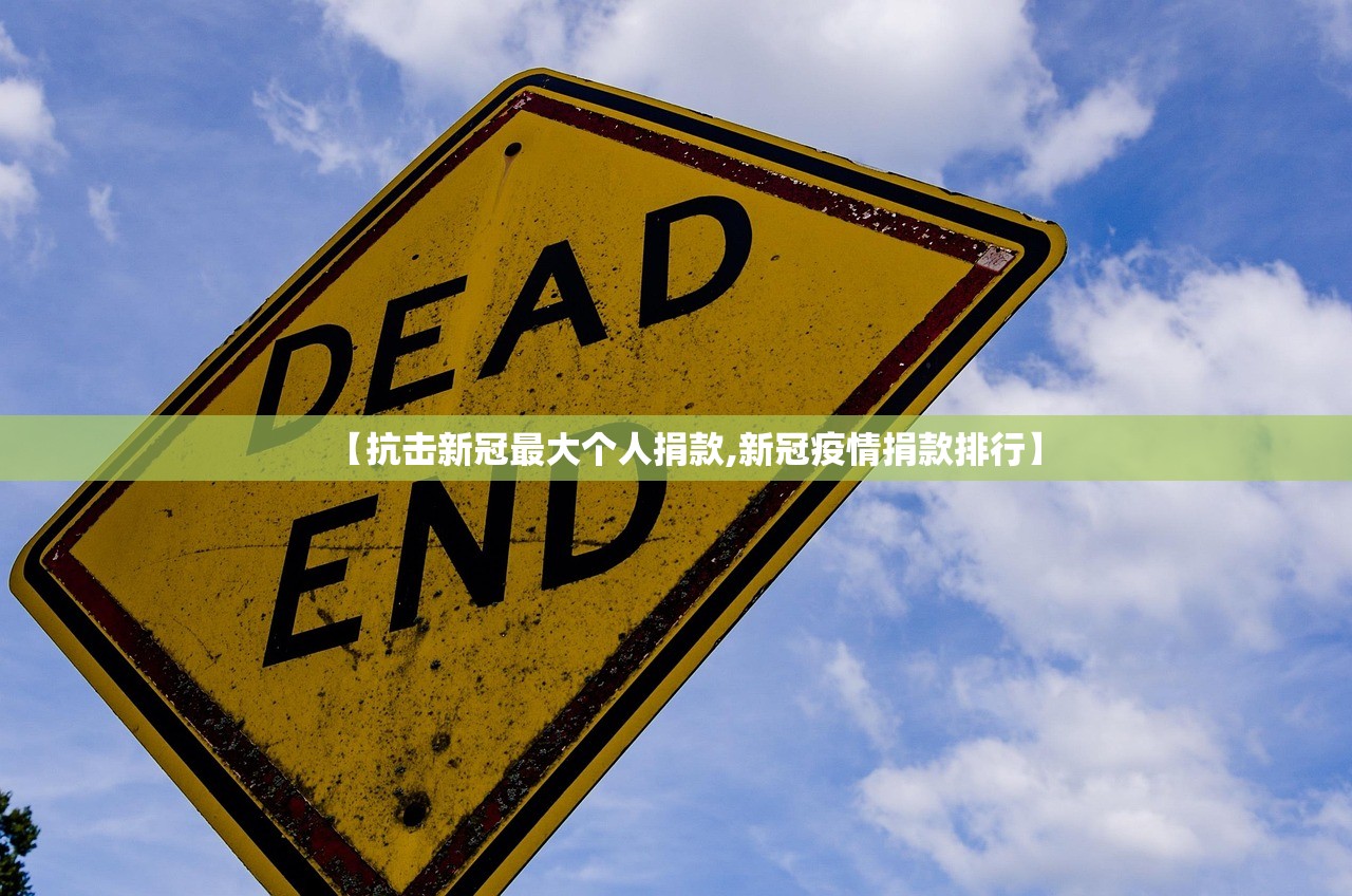 【抗击新冠最大个人捐款,新冠疫情捐款排行】