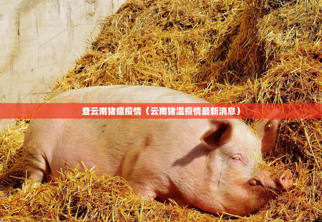 查云南猪瘟疫情（云南猪温疫情最新消息）