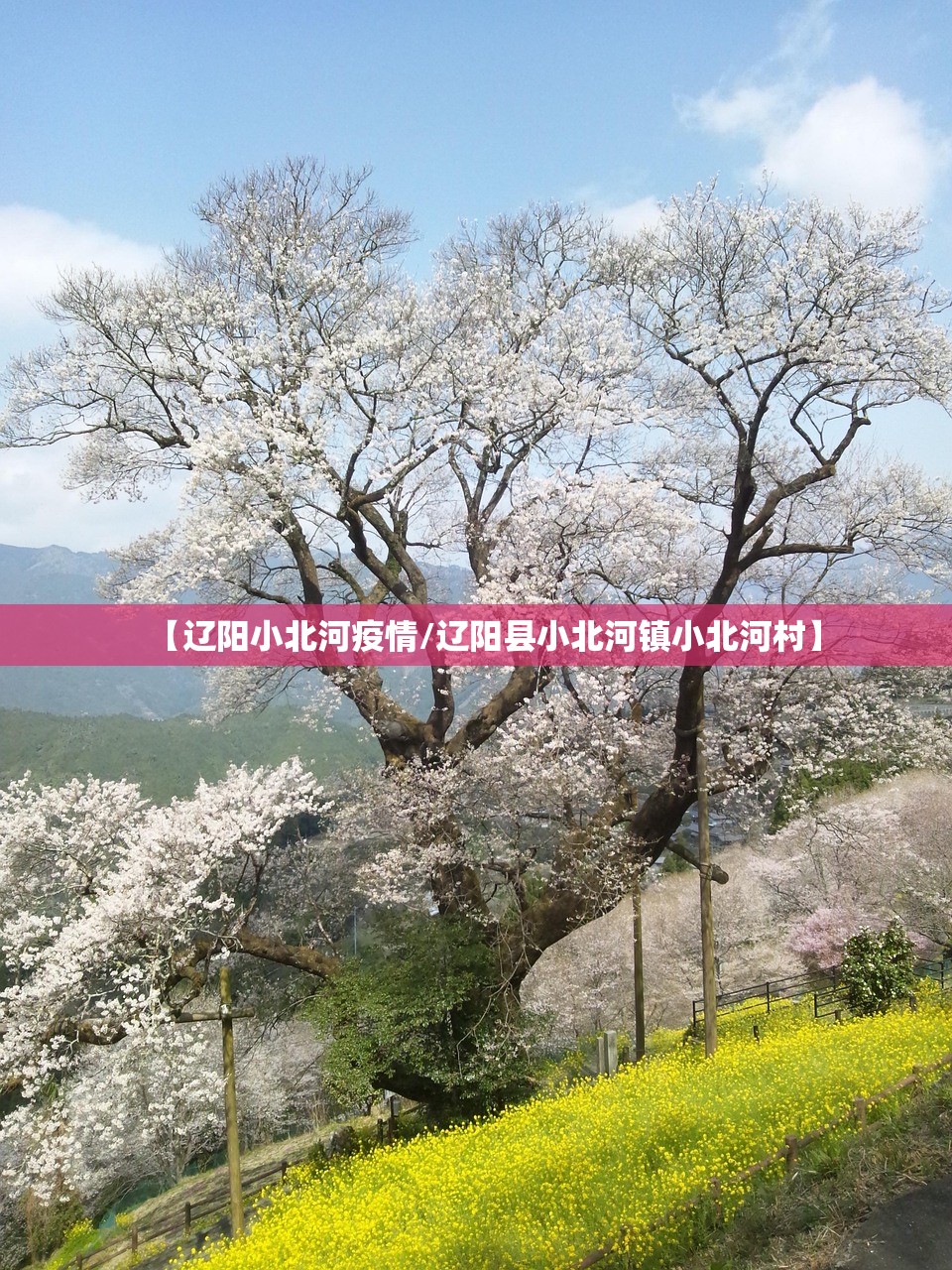 【辽阳小北河疫情/辽阳县小北河镇小北河村】
