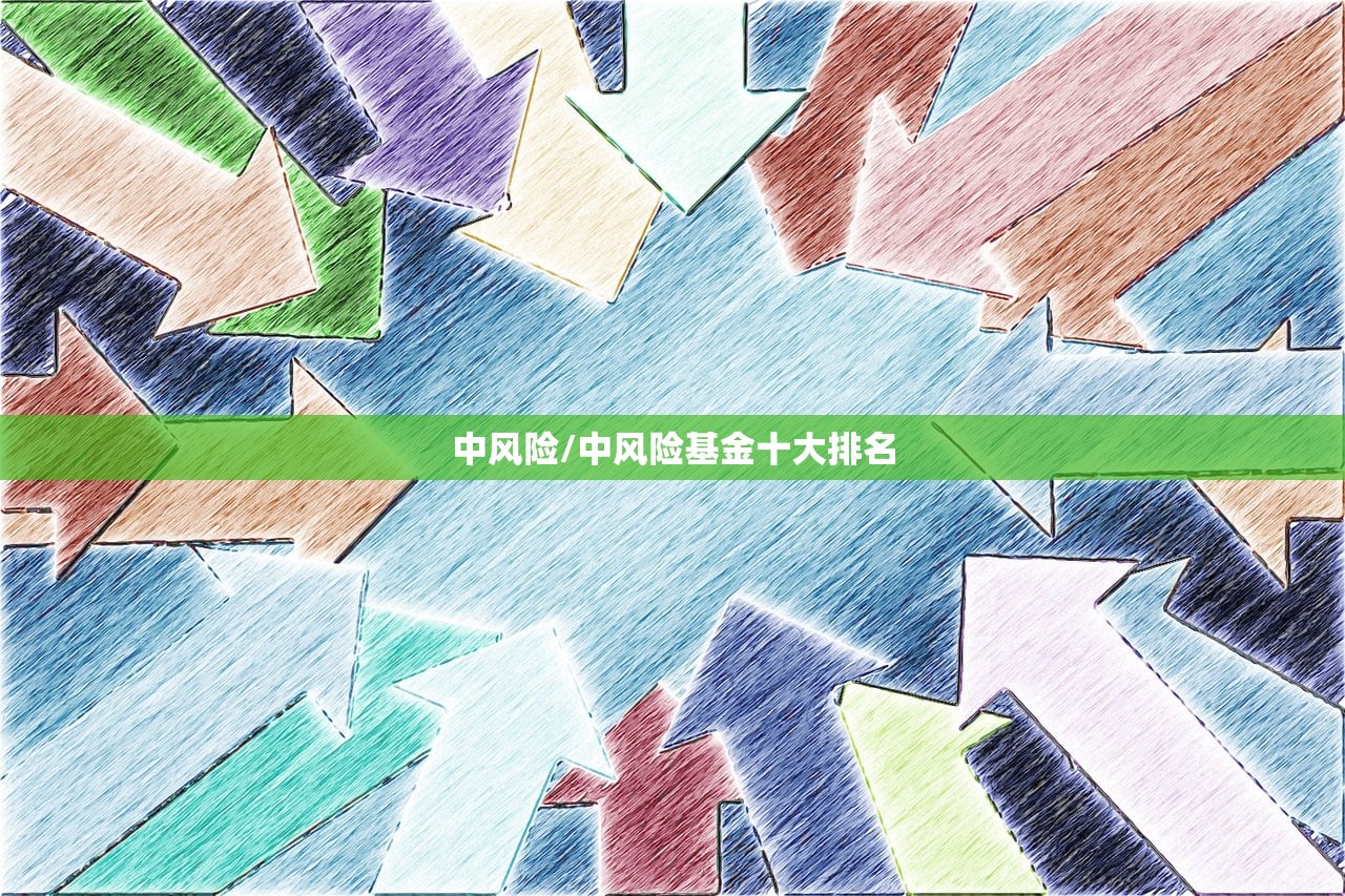 中风险/中风险基金十大排名