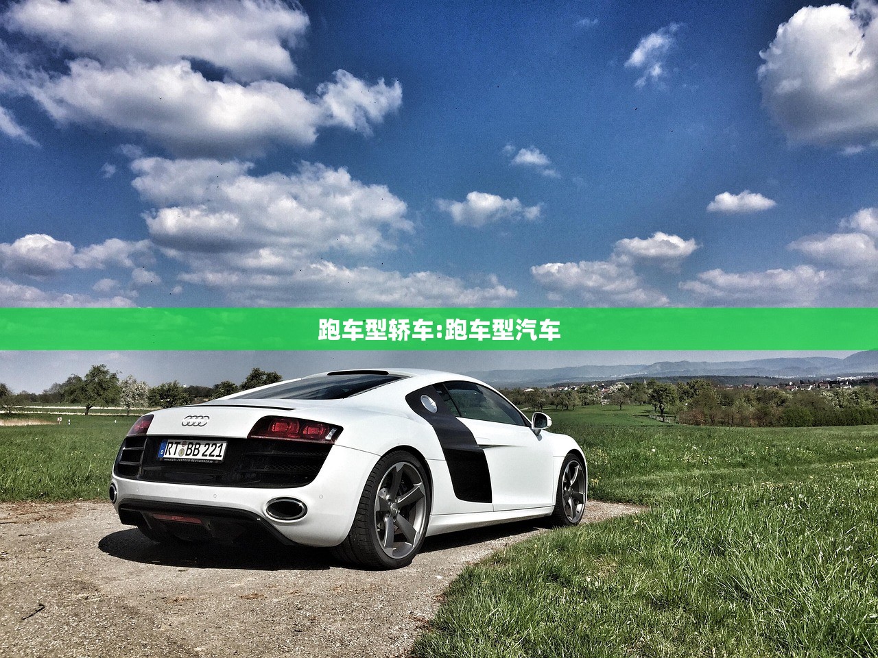 跑车型轿车:跑车型汽车