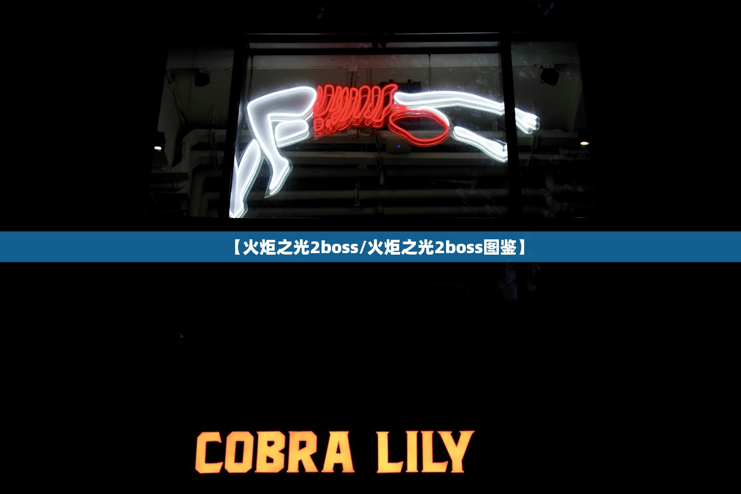 【火炬之光2boss/火炬之光2boss图鉴】
