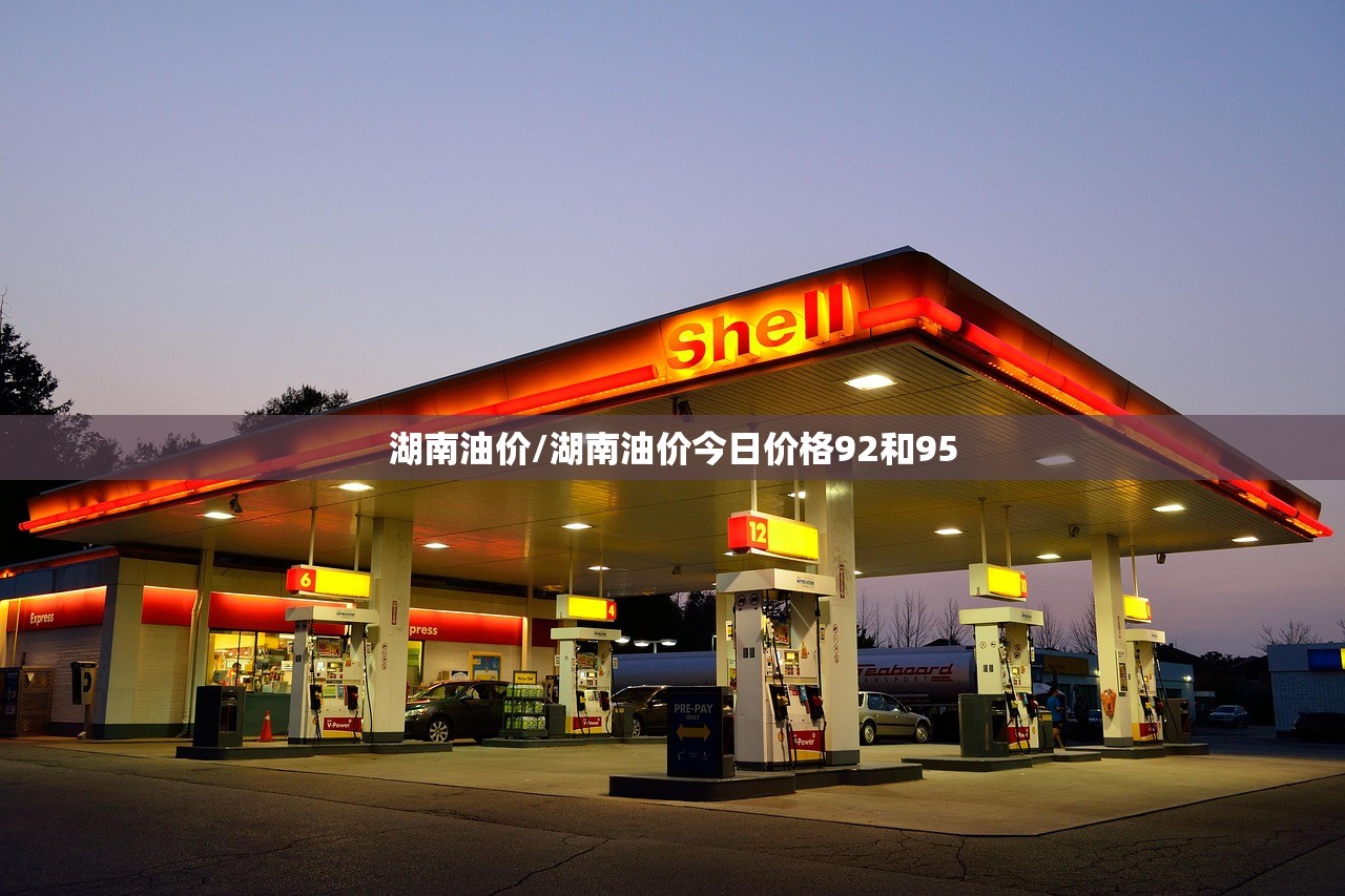 湖南油价/湖南油价今日价格92和95 湖南油价/湖南油价今日价格92和95