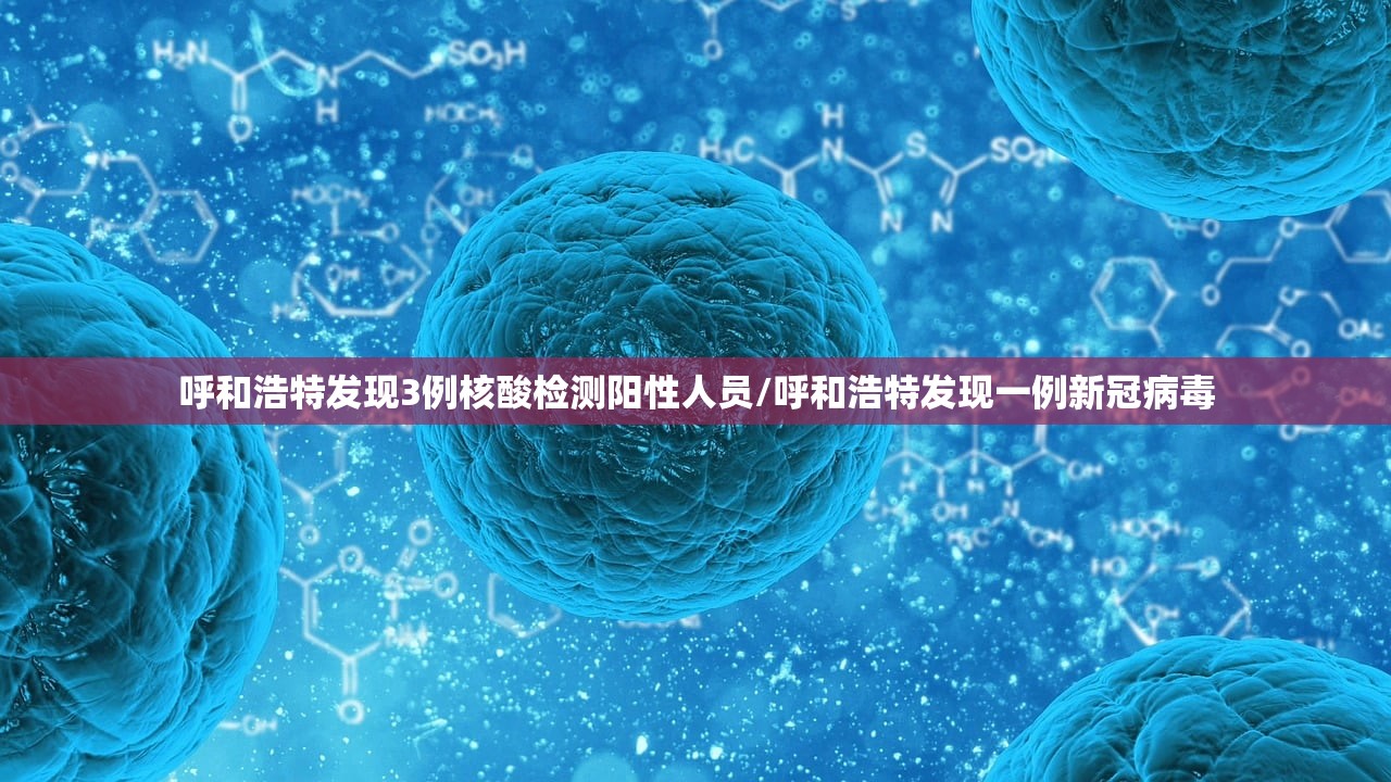 呼和浩特发现3例核酸检测阳性人员/呼和浩特发现一例新冠病毒