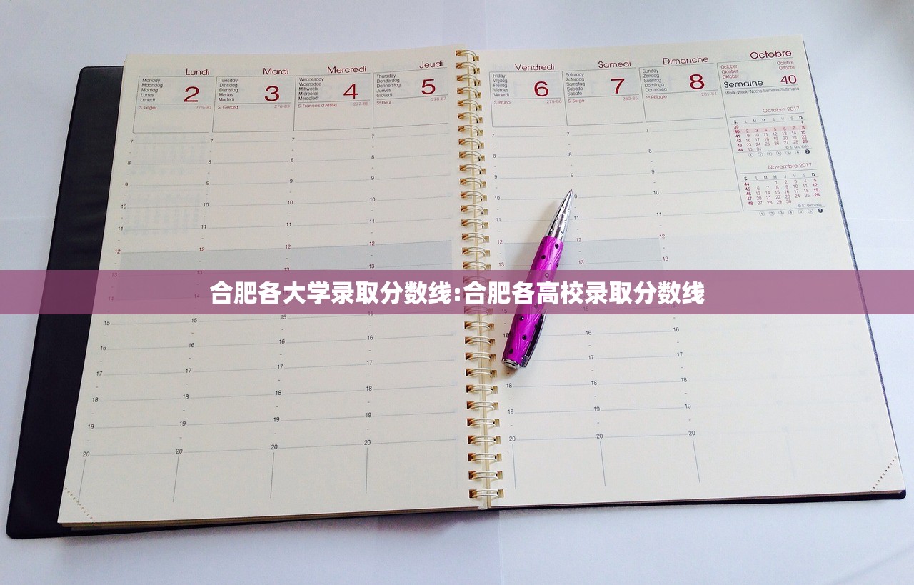 合肥各大学录取分数线:合肥各高校录取分数线
