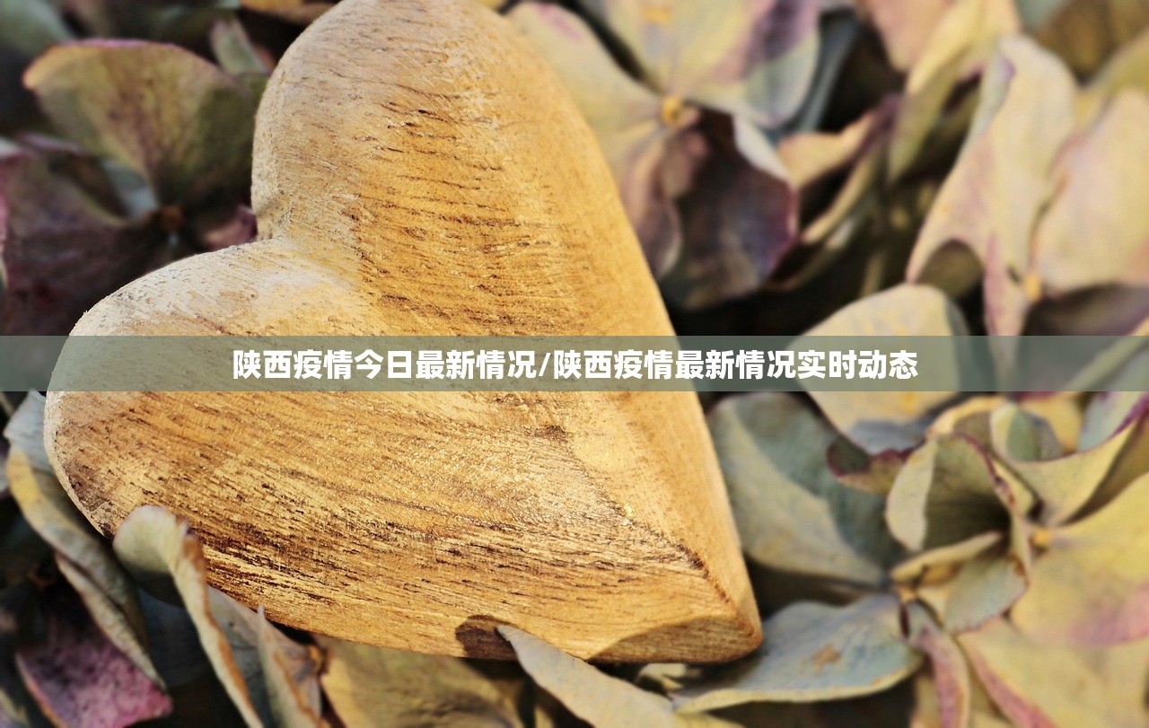 陕西疫情今日最新情况/陕西疫情最新情况实时动态