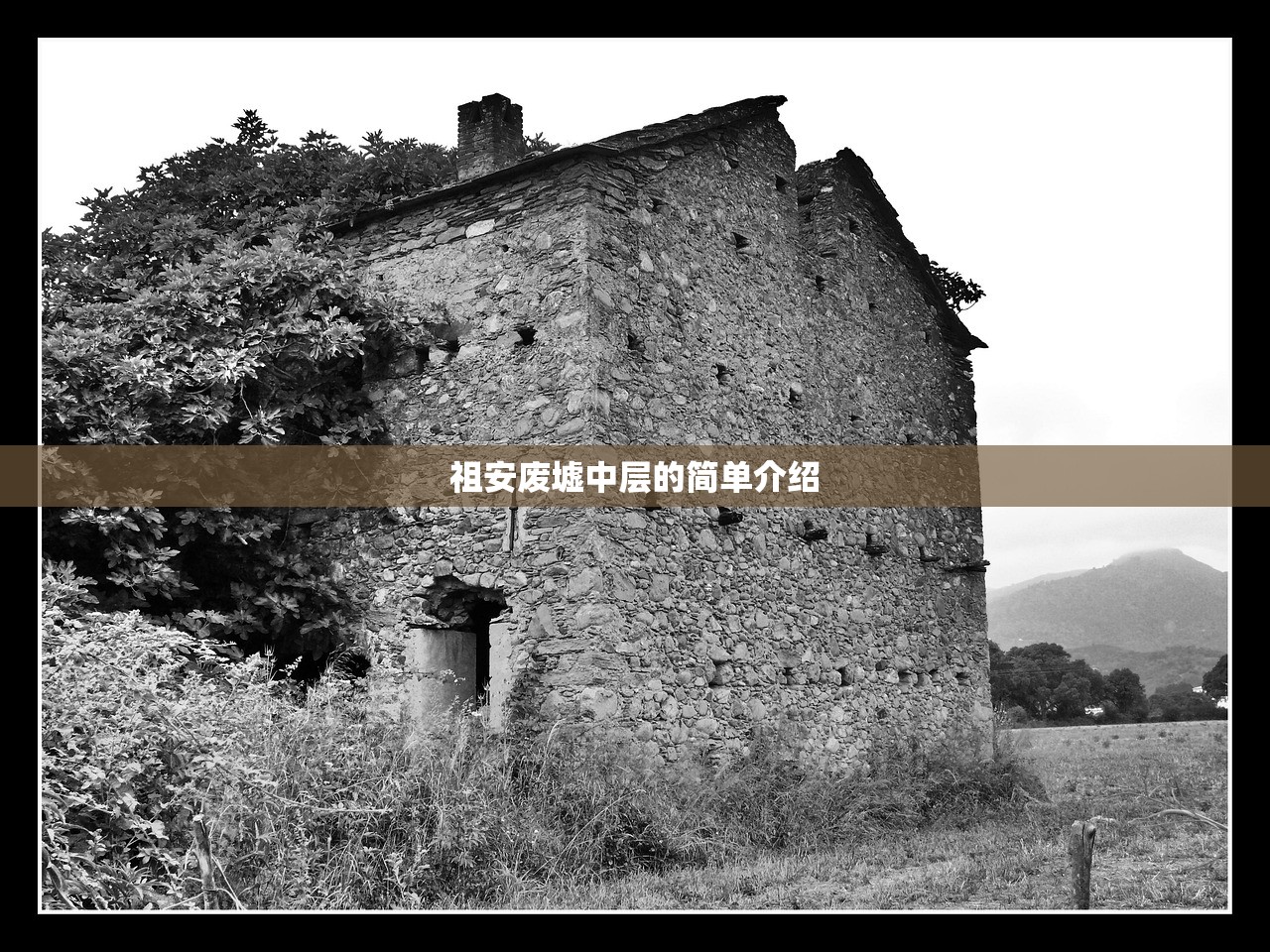 祖安废墟中层的简单介绍